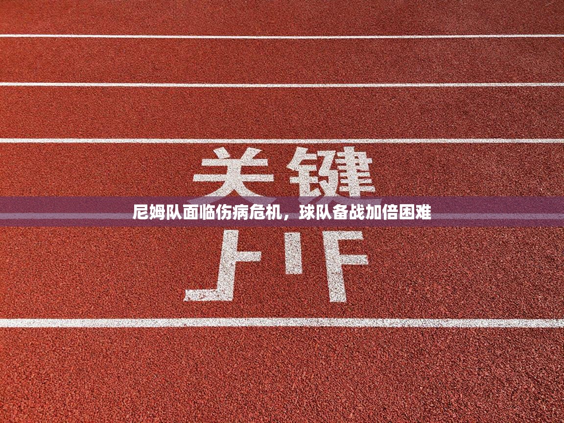 尼姆队面临伤病危机,球队备战加倍困难 第1张